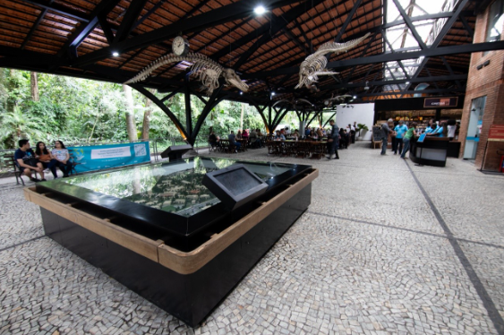 Credits: Vitor Vogel